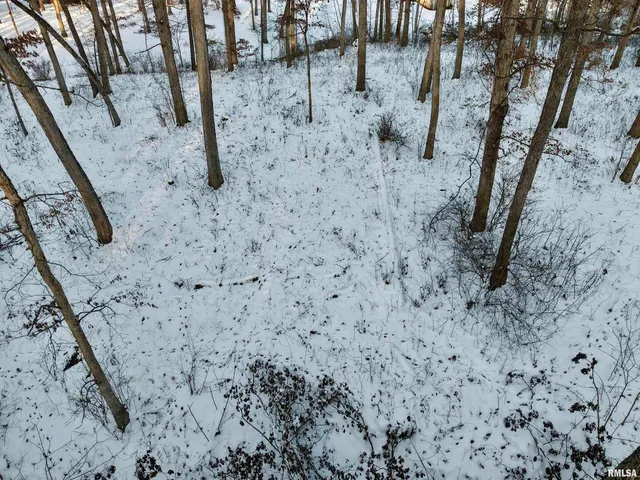 $329,900 | 3831 East State Highway, Shumway, IL 62461