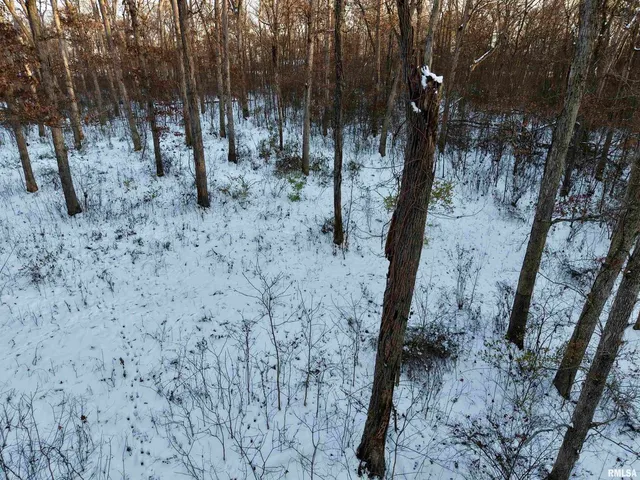 $329,900 | 3831 East State Highway, Shumway, IL 62461