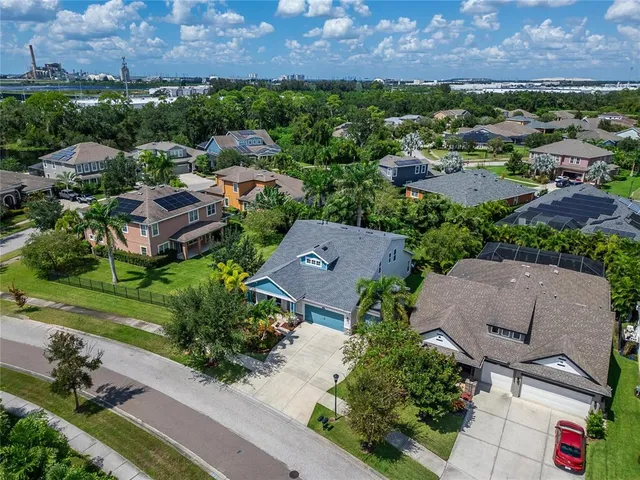 a living room with a rug floor to ceiling window and potted plants