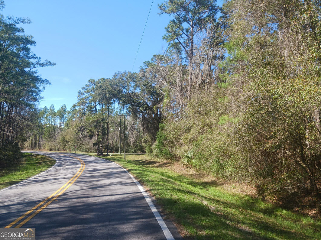 0 Dover Bluff Rd & Ga Episcopal Center Rd Centre Waverly, GA 31565 - Photo 2 of 2