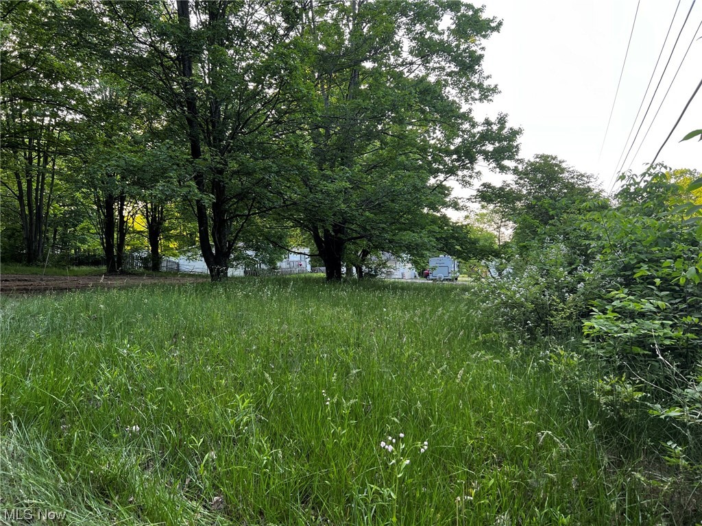 14076 Beard Road New Springfield, OH 44443 - Photo 2 of 3
