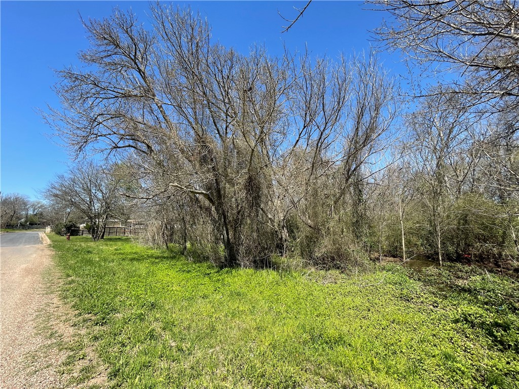 0 Monroe Street Elgin, TX 78621 - Photo 1 of 1 Gallery Image 1