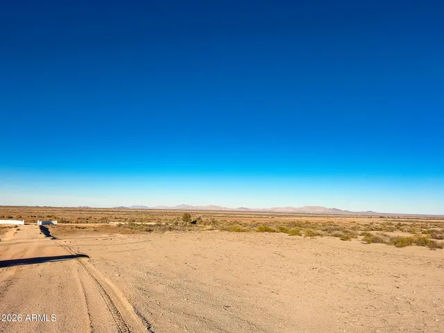 a view of a white building with a large tree