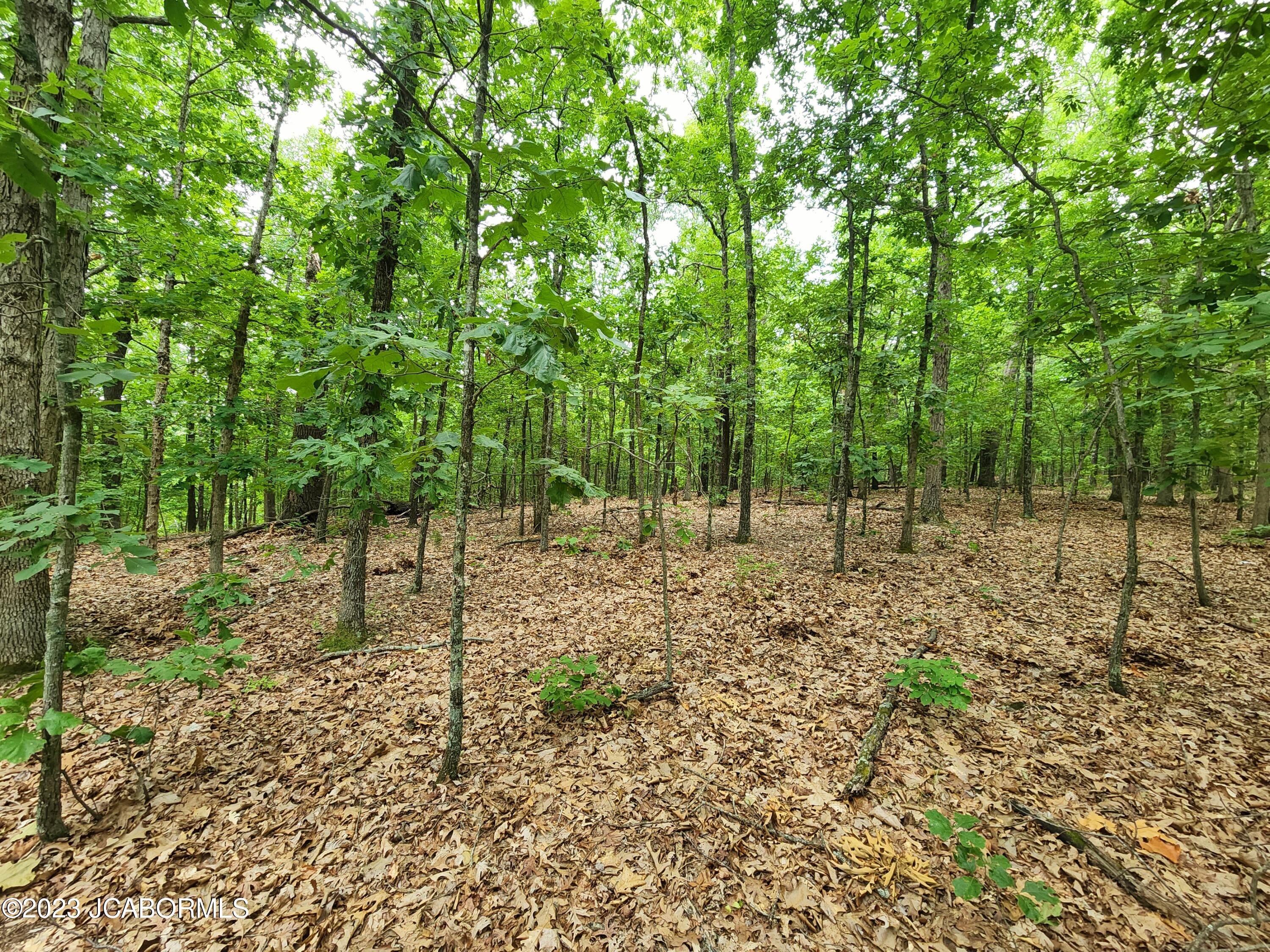 Lot 8 Copperstone Road Camdenton, MO 65020 - Photo 1 of 5