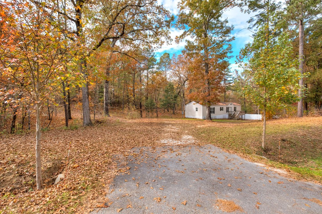 721 State Rd S-9-155 St. Matthews, SC 29135 - Photo 3 of 29 Photo 3