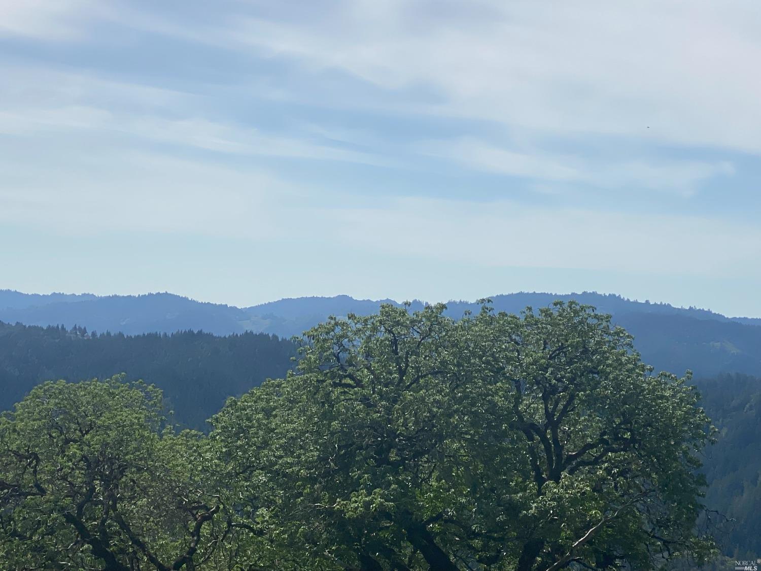 19010 Hulbert Road Hopland, CA 95449 - Photo 13 of 28 Views