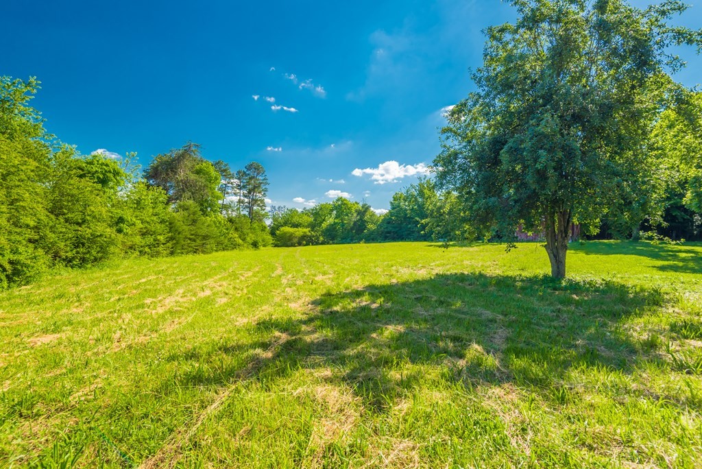 240 Lands Road Madisonville, TN 37354 - Photo 36 of 60 Gallery Image 36