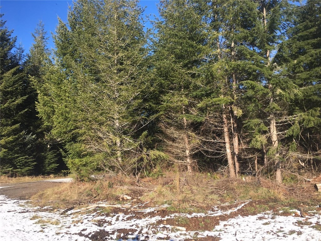 2 Little Quil Road Quilcene, WA 98376 - Photo 1 of 14