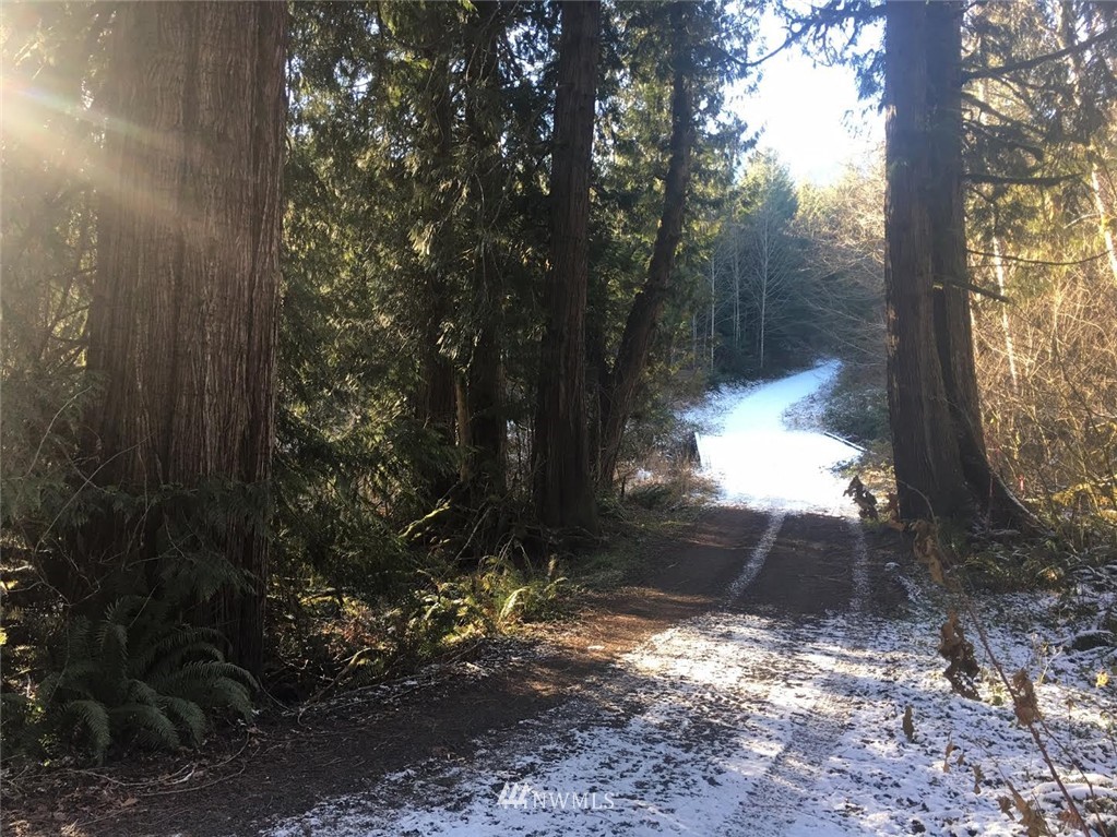 2 Little Quil Road Quilcene, WA 98376 - Photo 11 of 14