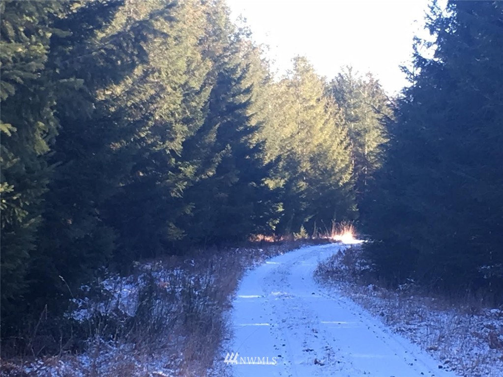 2 Little Quil Road Quilcene, WA 98376 - Photo 3 of 14