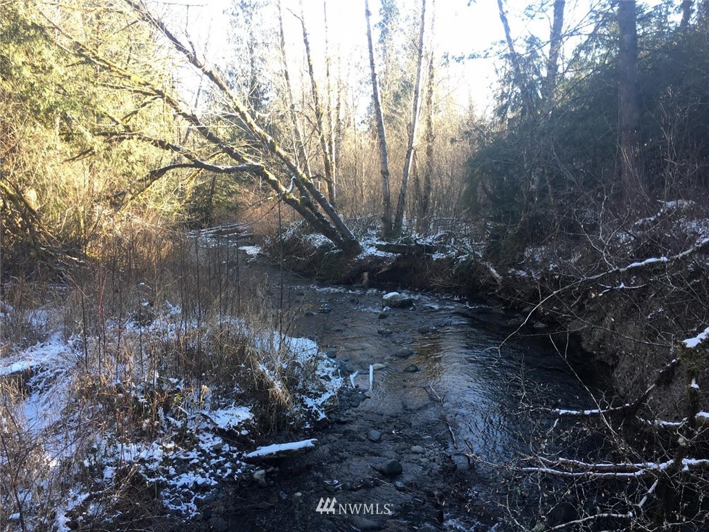 2 Little Quil Road Quilcene, WA 98376 - Photo 4 of 14
