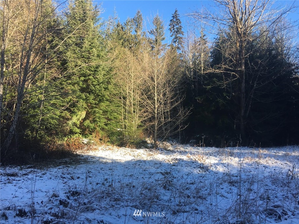 2 Little Quil Road Quilcene, WA 98376 - Photo 5 of 14