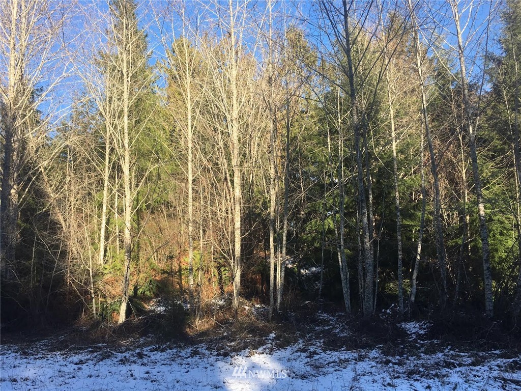 2 Little Quil Road Quilcene, WA 98376 - Photo 6 of 14