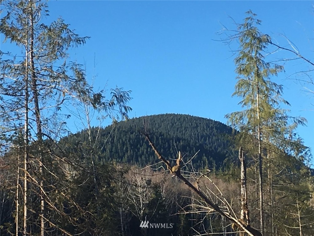 2 Little Quil Road Quilcene, WA 98376 - Photo 7 of 14