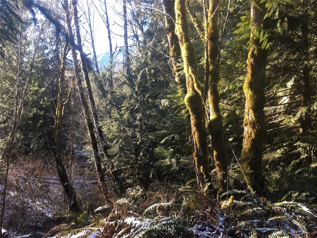 2 Little Quil Road Quilcene, WA 98376 - Photo 10 of 14