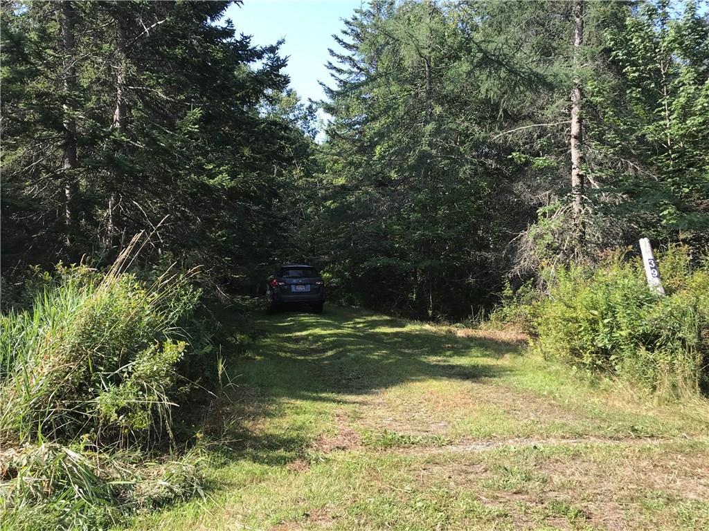 39 Beach Point Road St. George, ME 04860 - Photo 3 of 27 Driveway
