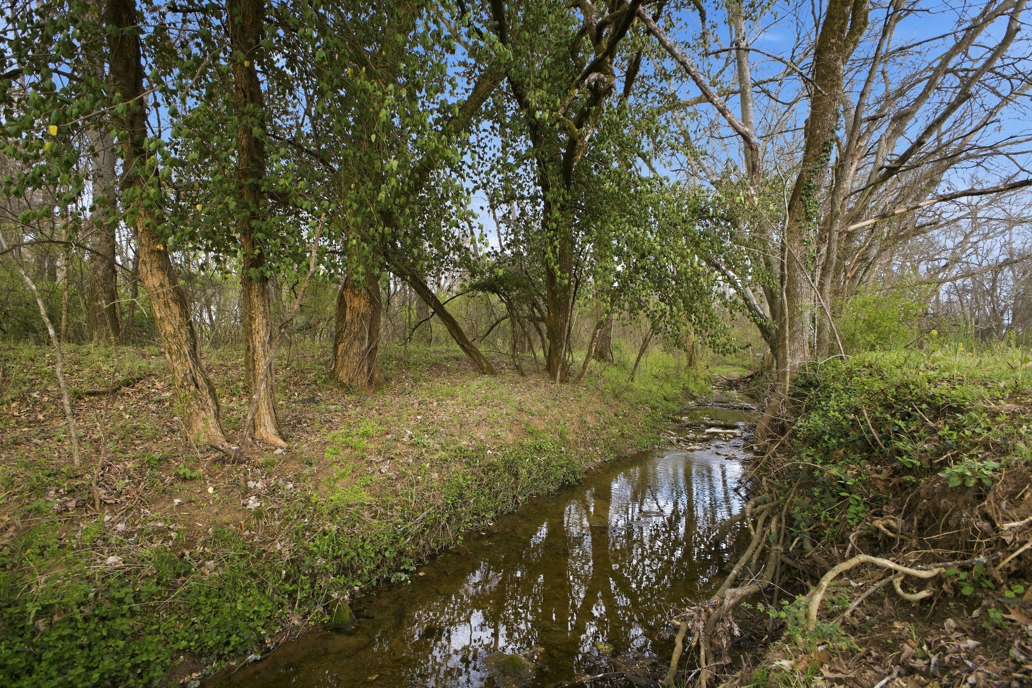 1917 Frank Moore Road Culleoka, TN 38451 - Photo 30 of 30