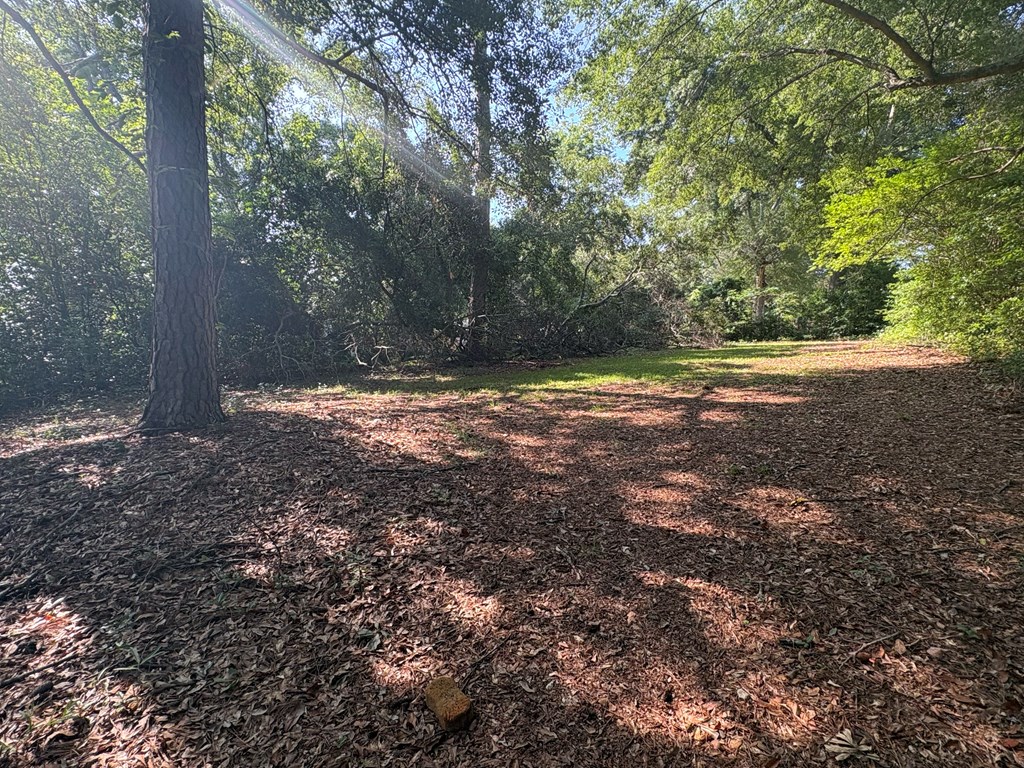 2910 Beech Street Columbus, GA 31909 - Photo 24 of 24 a view of a yard with a tree