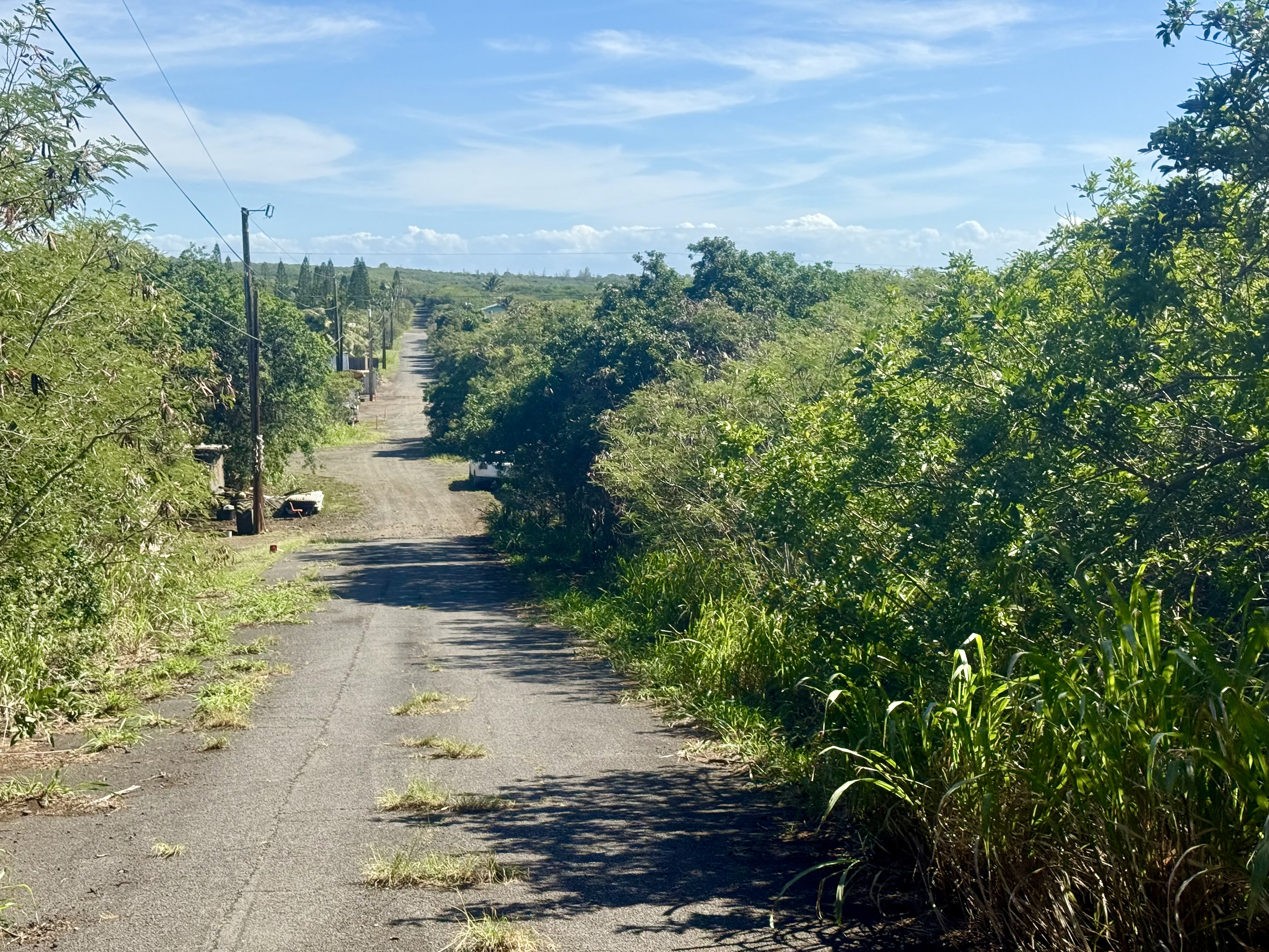 4 Pua Street Naalehu, HI 96772 - Photo 2 of 10 a view of a pathway of a yard