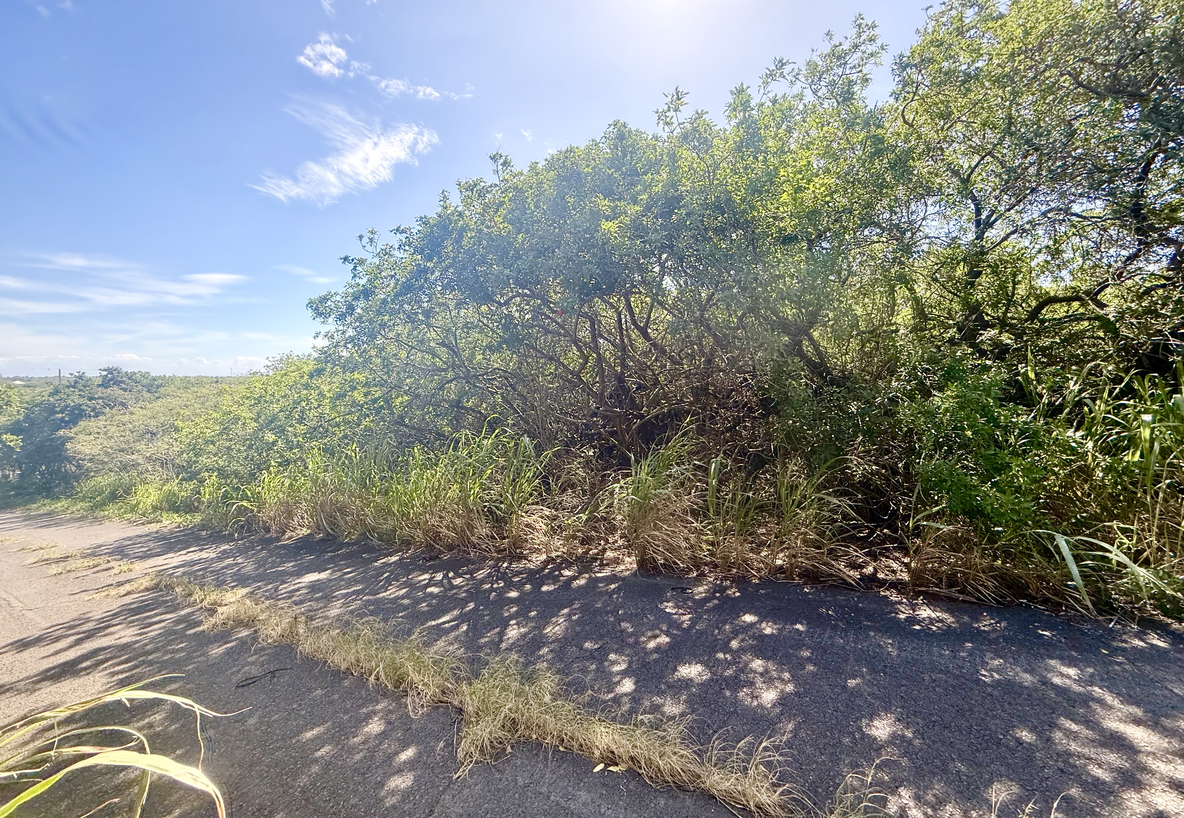 4 Pua Street Naalehu, HI 96772 - Photo 6 of 10 a view of a large yard with lots of green space