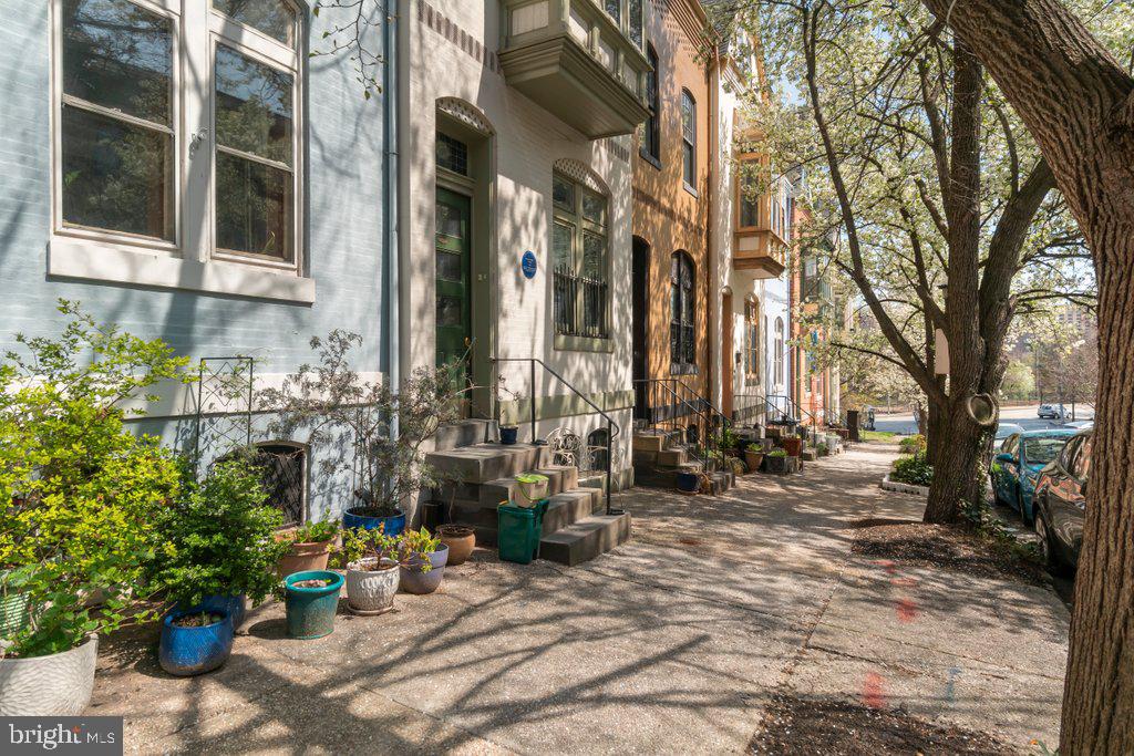1215 John Street Baltimore, MD 21217 - Photo 2 of 34 a row of potted plants sitting in front of a building