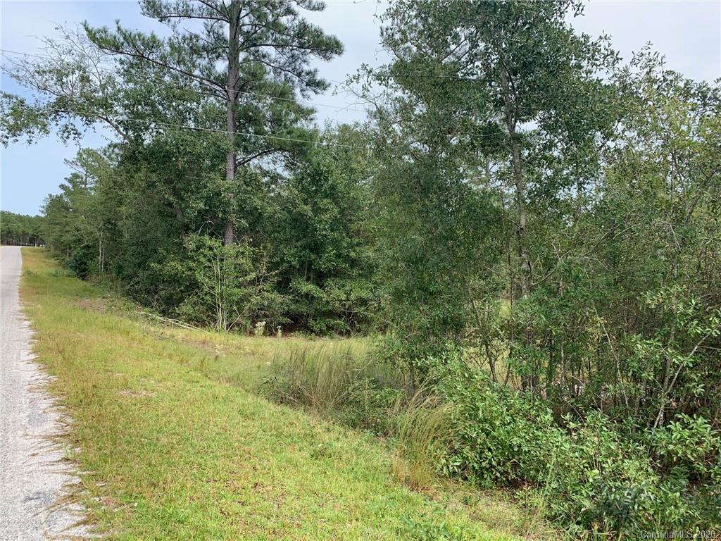 0 Scott Road, Unit TRACT 4 Kershaw, SC 29067 - Photo 1 of 2 Gallery Image 1