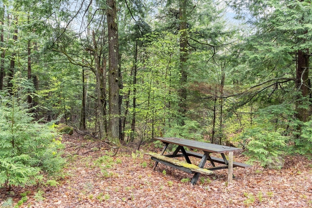 42 Bowl Road Richmond, NH 03470 - Photo 19 of 20 a wooden bench sitting in the middle of a forest