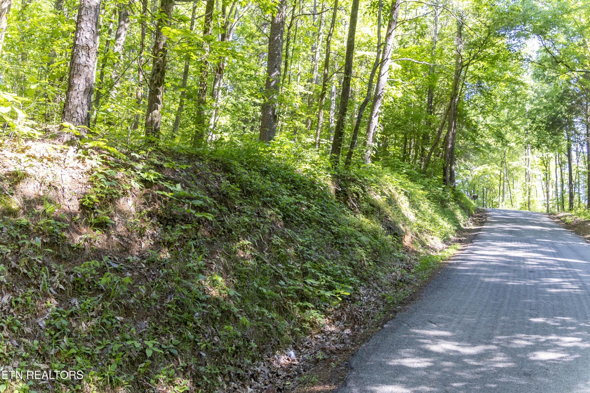 0 County Road Athens, TN 37303 - Photo 8 of 8 Gallery Image 8