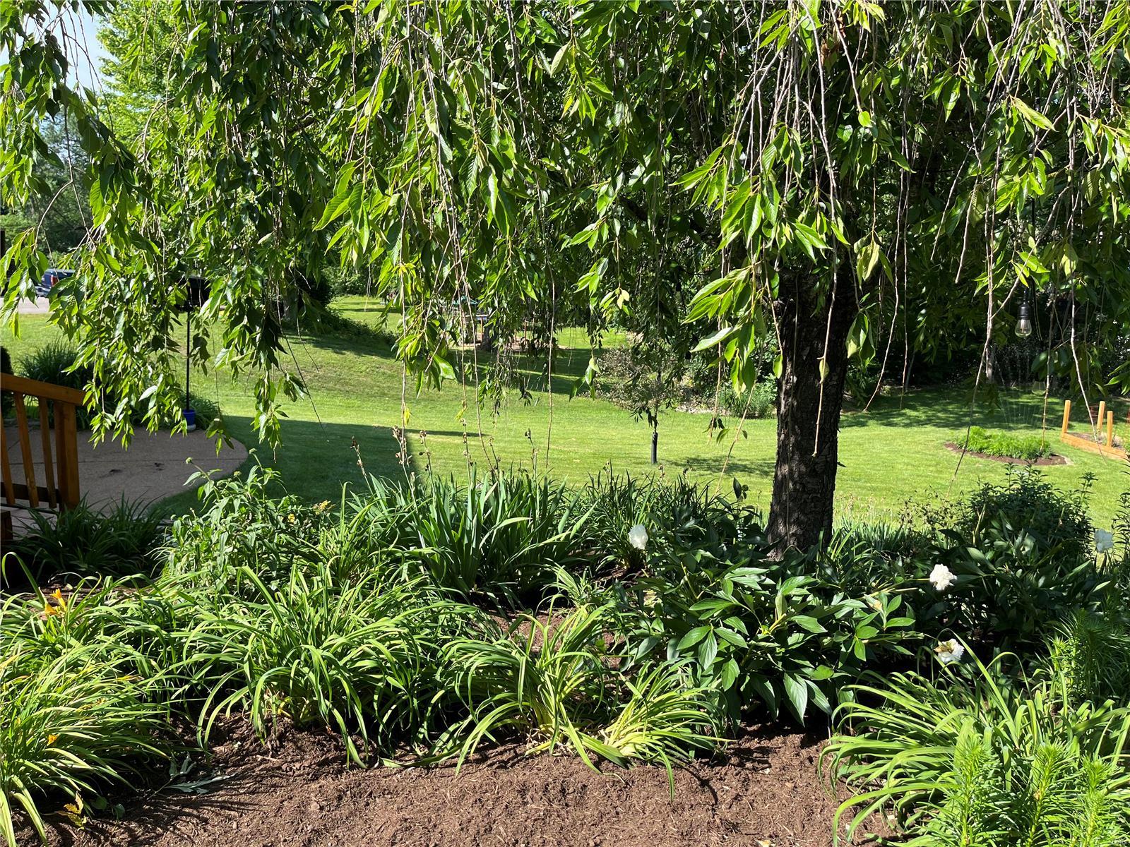 2212 Whitby Road Clarkson Valley, MO 63017 - Photo 9 of 11