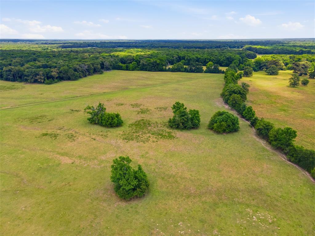 1663 County Road 1405 Bogata, TX 75417 - Photo 10 of 36