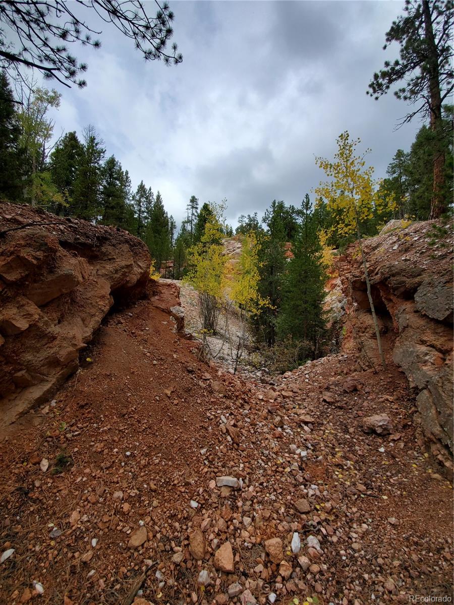 0 Rampart Range Road Sedalia, CO 80135 - Photo 5 of 8 a big yard with lots of green space