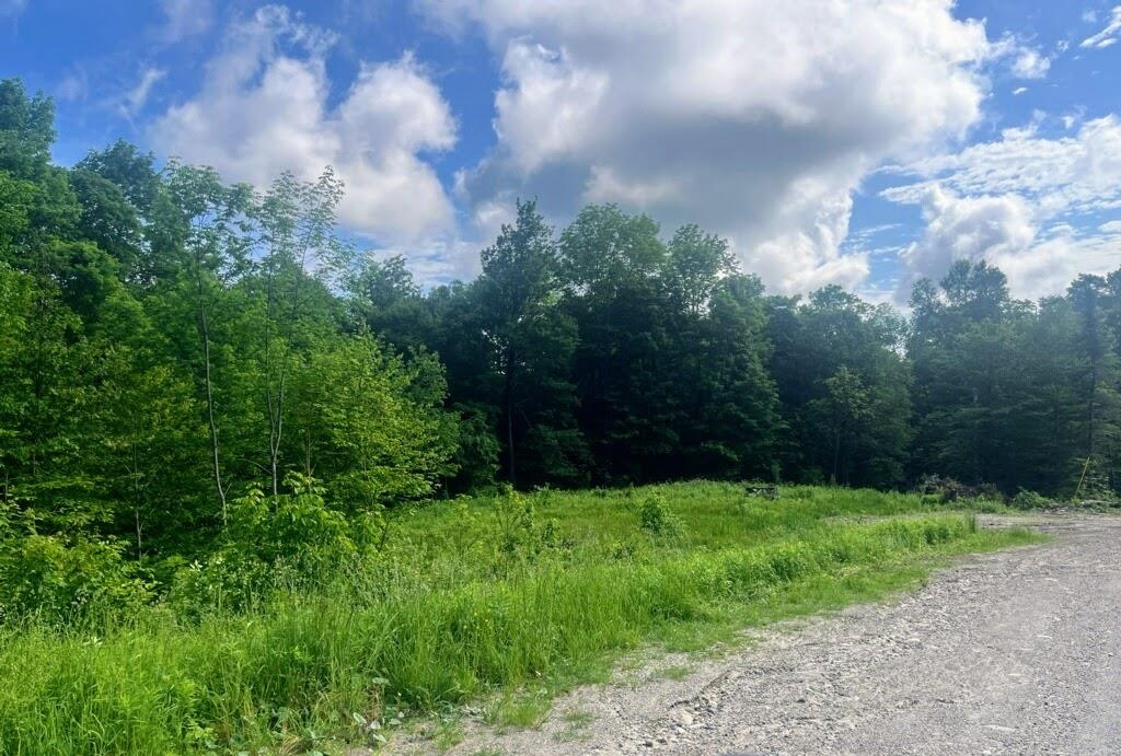 41 Moose Hollow Road Winhall, VT 05340 - Photo 1 of 12