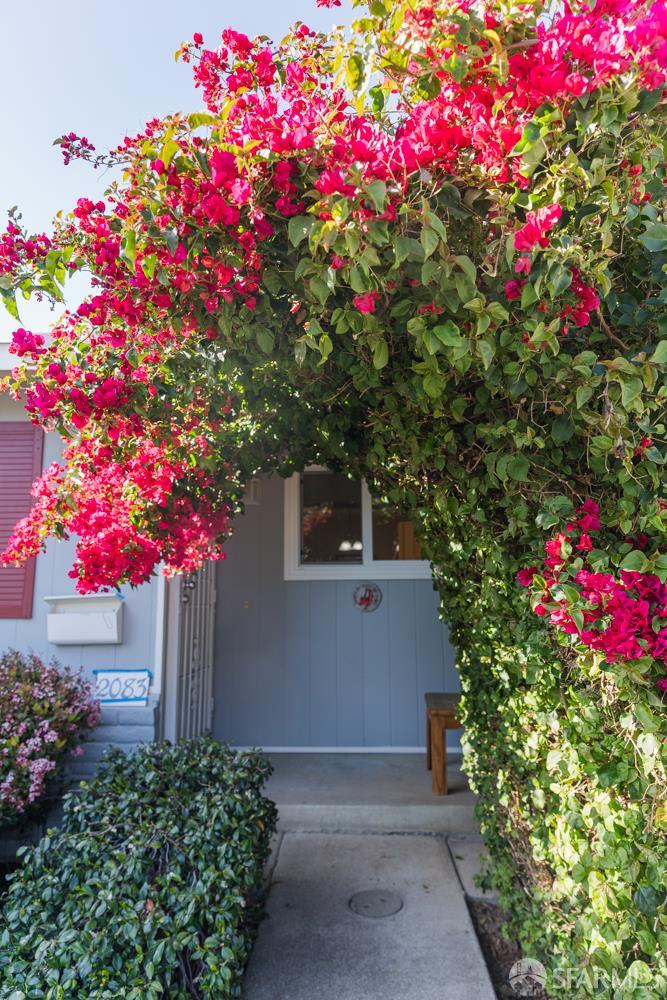 2083 Seacliff Drive Milpitas, CA 95035 - Photo 56 of 59 a flower plants in front of a house