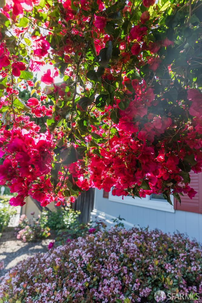 2083 Seacliff Drive Milpitas, CA 95035 - Photo 57 of 59