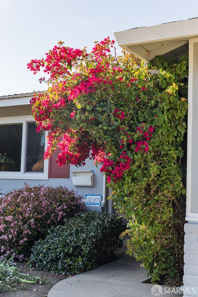 2083 Seacliff Drive Milpitas, CA 95035 - Photo 58 of 59 a flower plants sitting in front of a house