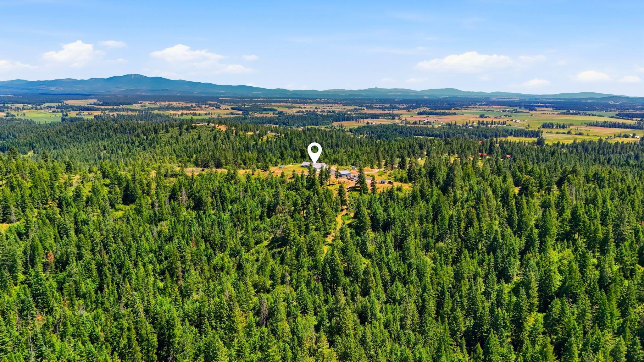 4746 Furzee Road Clayton, WA 99110 - Photo 43 of 46