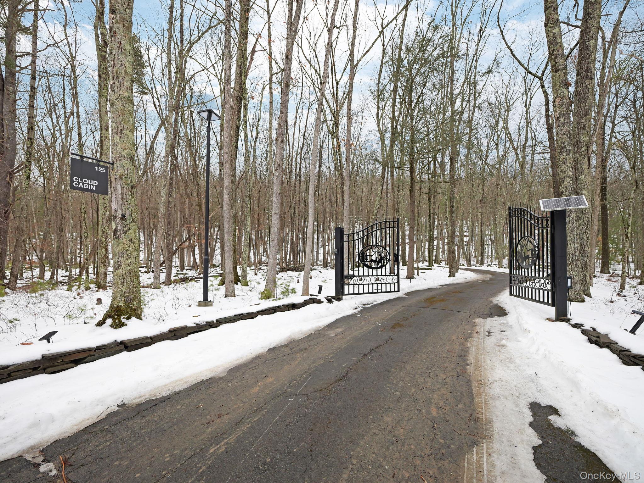 125 Mapes Road Barryville, NY 12719 - Photo 36 of 37 a view of a street with a trees on the side of it
