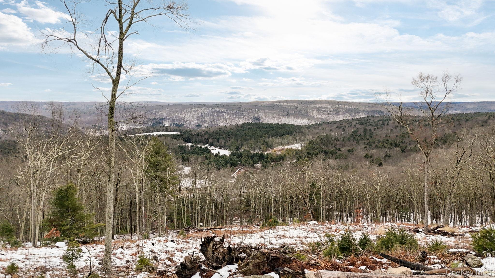 125 Mapes Road Barryville, NY 12719 - Photo 5 of 37 a view of a yard and mountain