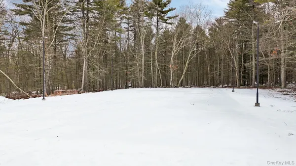 a view of a snow with a covered trees