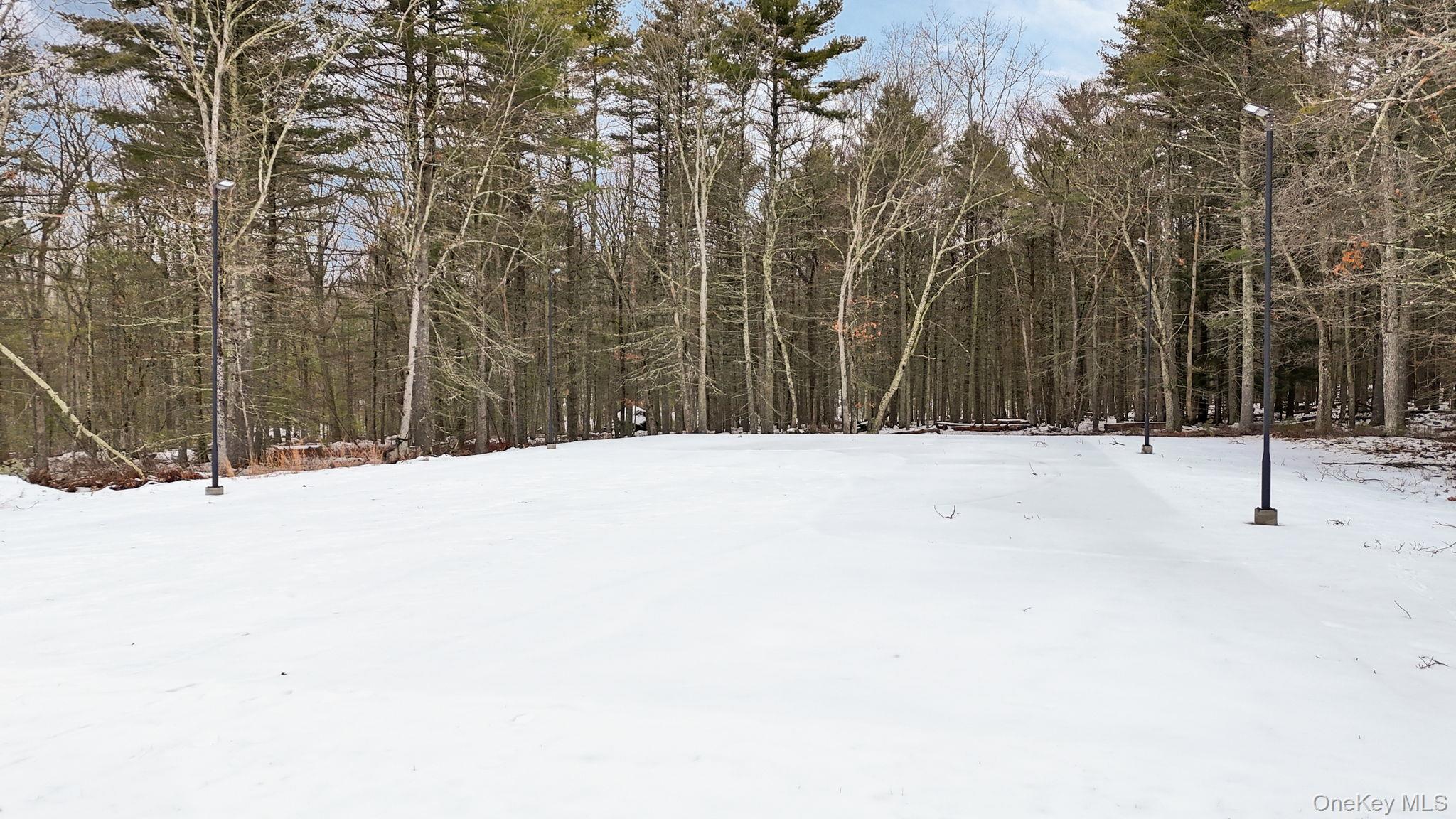 125 Mapes Road Barryville, NY 12719 - Photo 7 of 37 a view of a snow with a covered trees