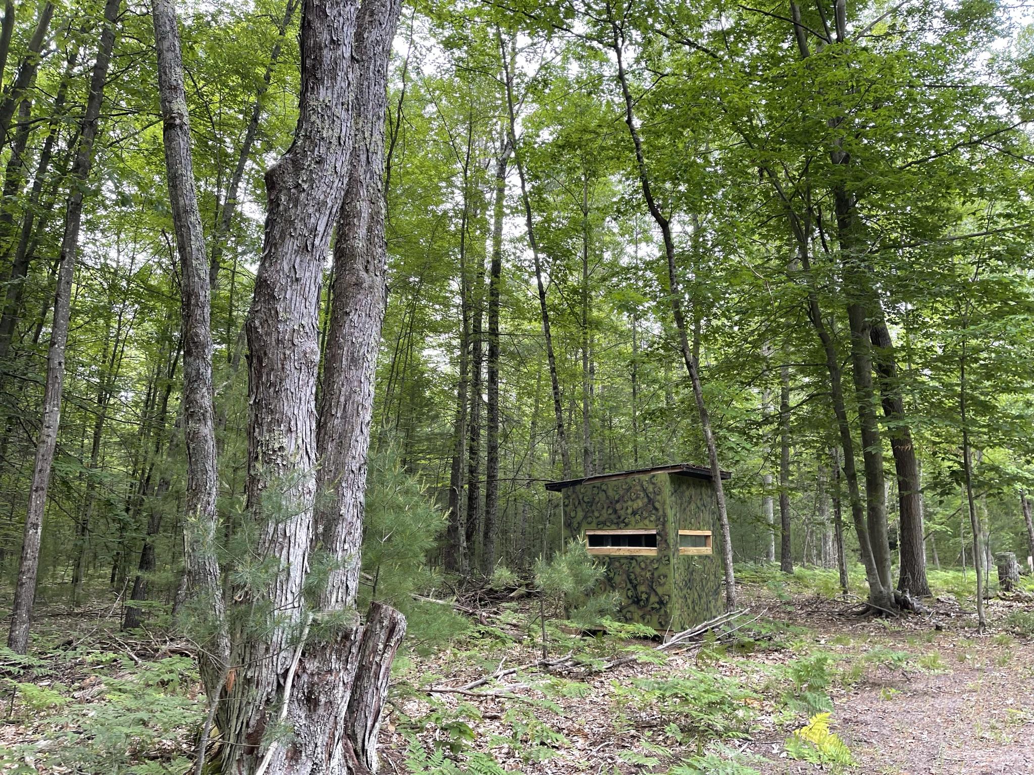 9 Mile Bridge Road Wellston, MI 49689 - Photo 11 of 17 IMG_7617