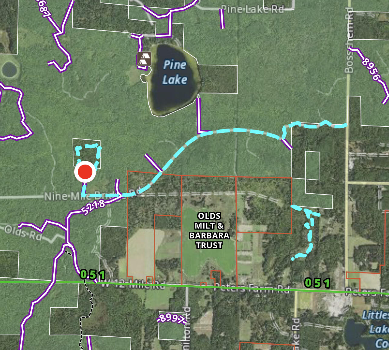 9 Mile Bridge Road Wellston, MI 49689 - Photo 15 of 17 IMG_7621