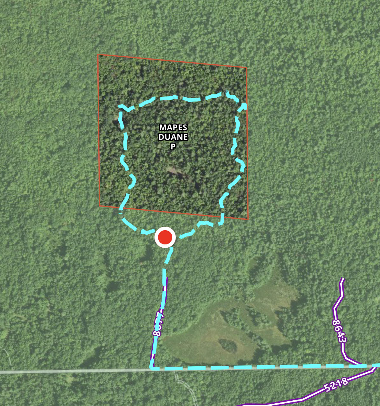 9 Mile Bridge Road Wellston, MI 49689 - Photo 16 of 17 IMG_7622