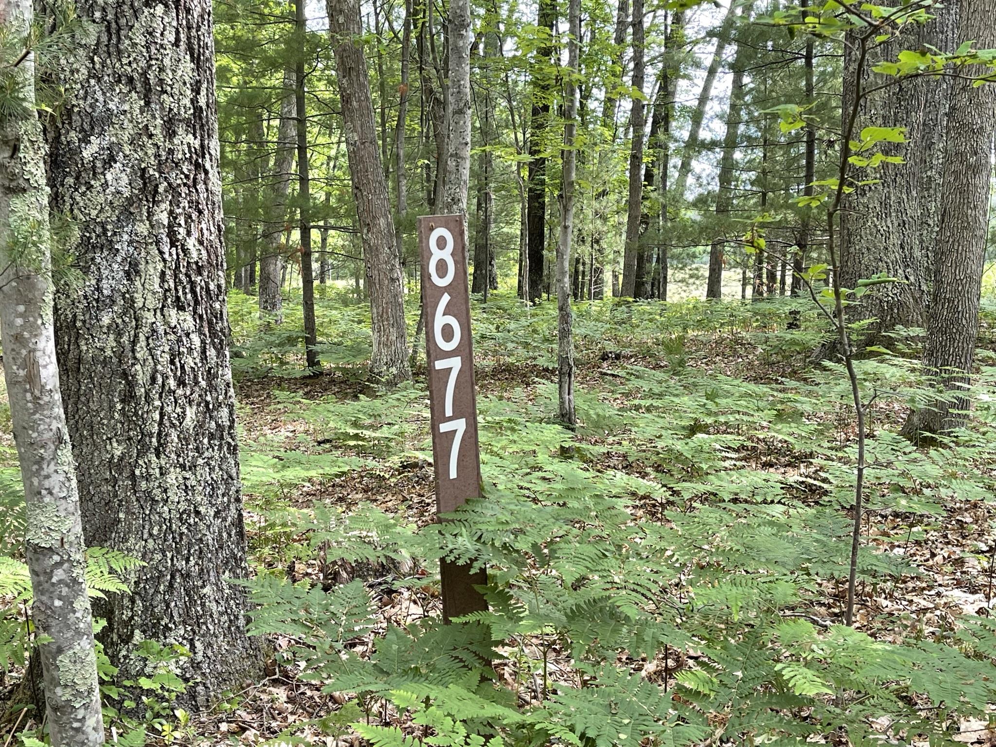 9 Mile Bridge Road Wellston, MI 49689 - Photo 17 of 17 IMG_7623
