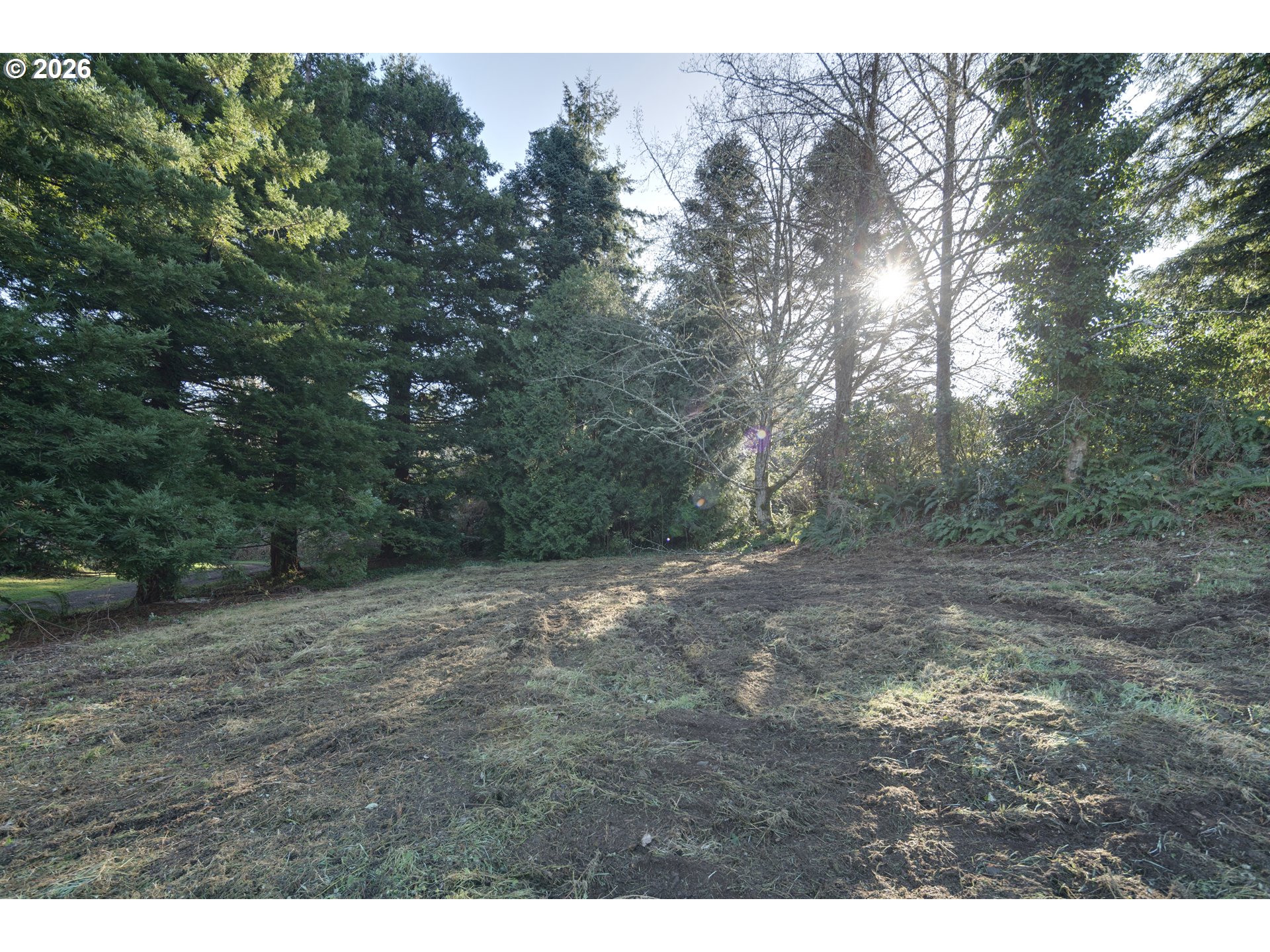 a view of a yard with a tree