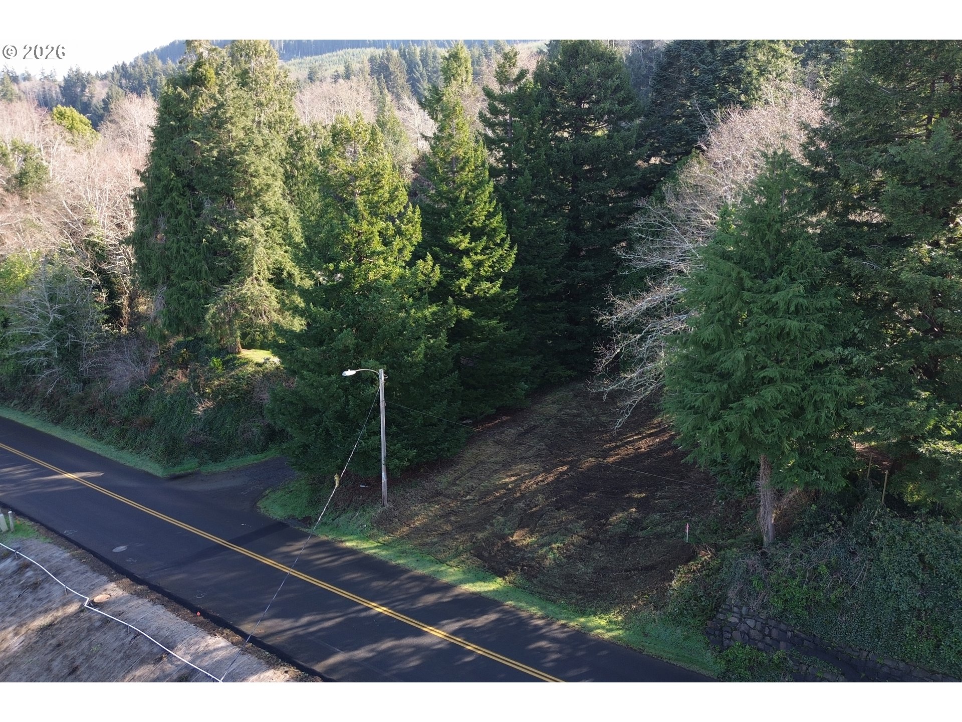 1st And Akin Wheeler, OR 97147 - Photo 19 of 41 a view of a forest