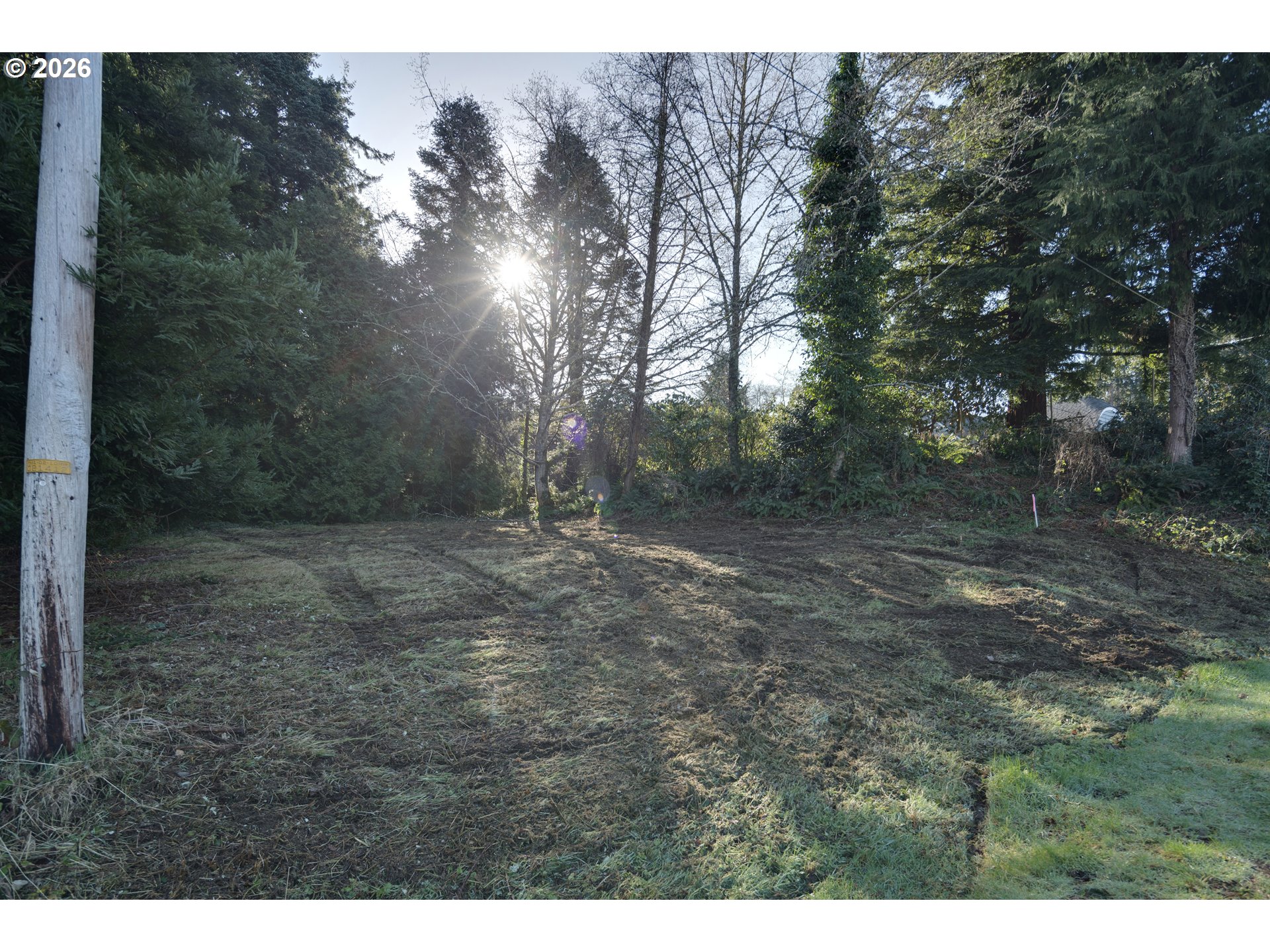 1st And Akin Wheeler, OR 97147 - Photo 2 of 41 a view of a yard with a tree