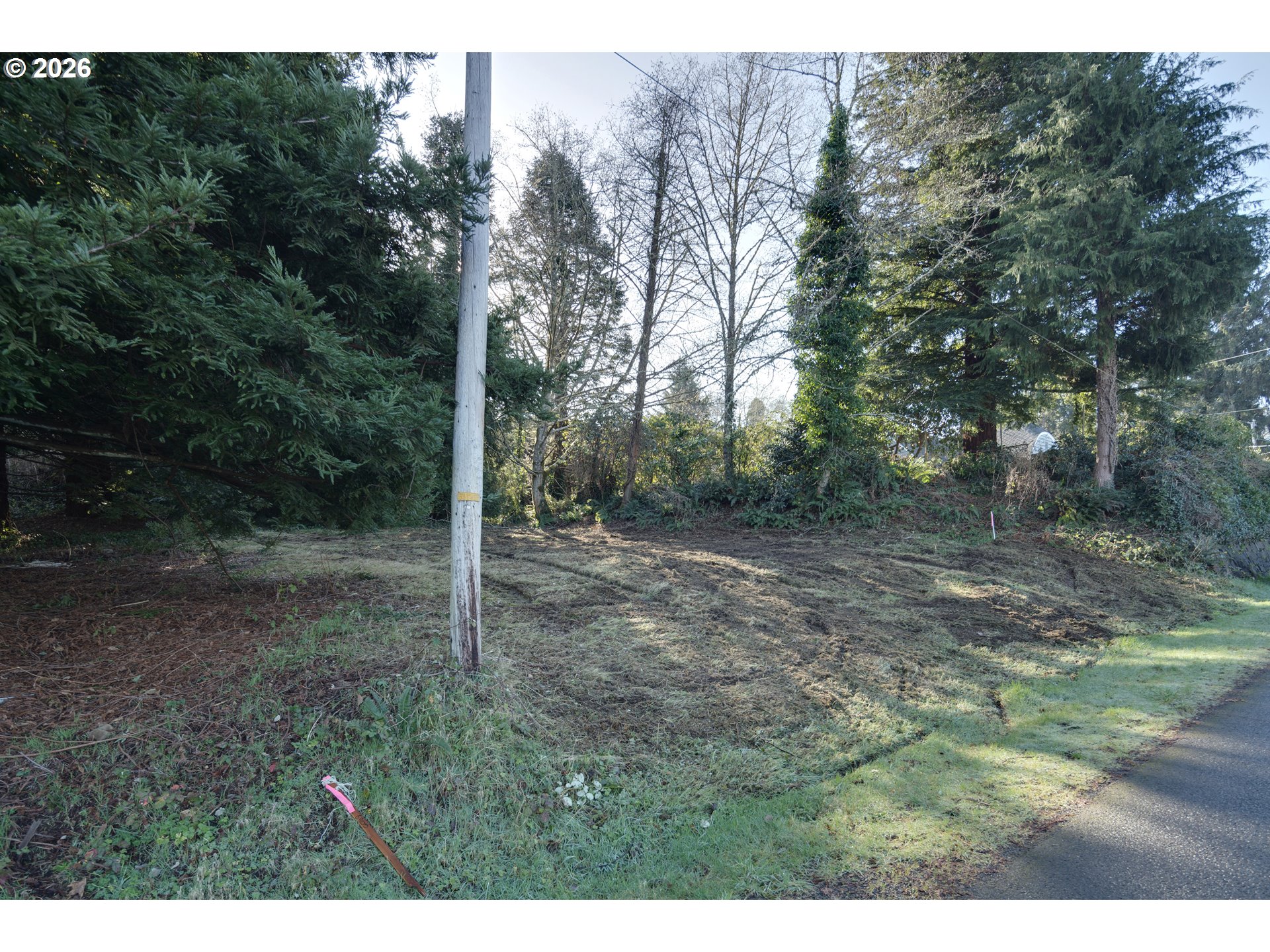 1st And Akin Wheeler, OR 97147 - Photo 4 of 41 a view of a forest