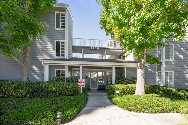 a view of road with large trees