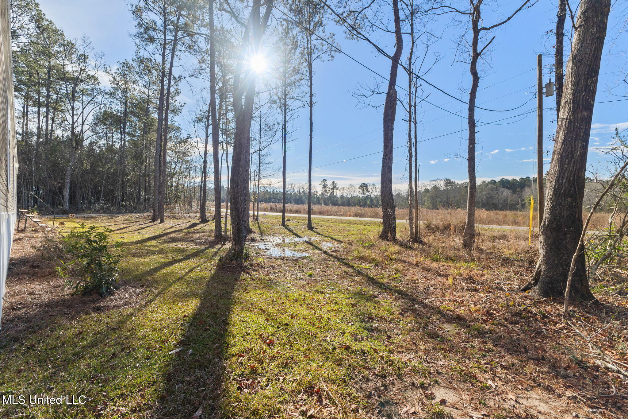 250 J D Broome Road Sumrall, MS 39482 - Photo 8 of 39 250_J_D_Broome_Rd-5